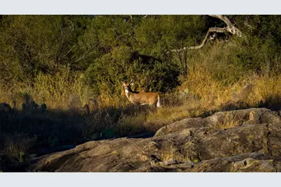 7702 Ranch Road 965, Llano, TX 78624 - Photo 28