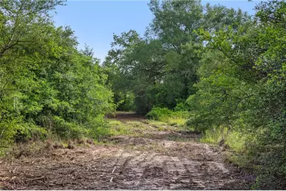 5163 County Road 358 Road, Gause, TX 77857 - Photo 10