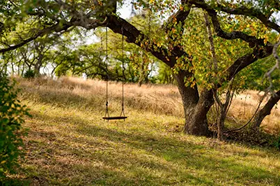 520 Harmon Hills Cove, Dripping Springs, TX 78620 - Photo 6