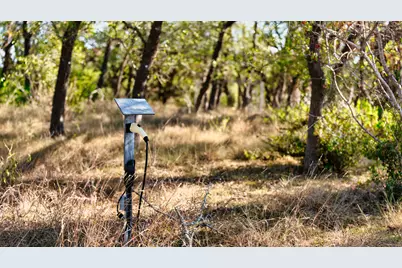 520 Harmon Hills Cove, Dripping Springs, TX 78620 - Photo 16