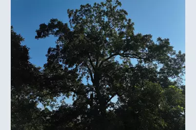 Tbd Lot 2 Randermann Road, Brenham, TX 77833 - Photo 6