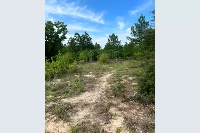 000 Ponderosa Loop, Paige, TX 78602 - Photo 16