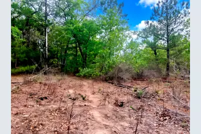 000 Ponderosa Loop Loop, Paige, TX 78602 - Photo 12