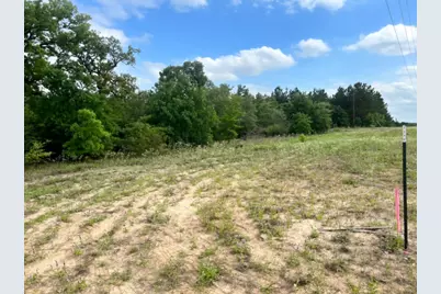 000 Ponderosa Loop, Paige, TX 78602 - Photo 2