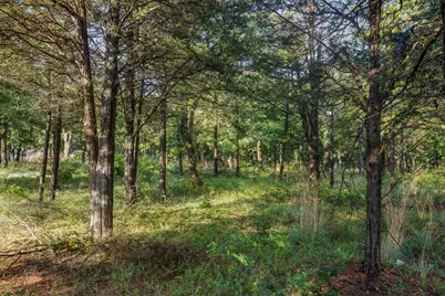 Tbd Lincoln Lake Road, Paige, TX 78659 - Photo 10