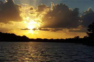 131 Primera Ct, Kingsland, TX 78611 - Photo 4