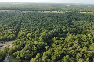 1085 Private Rd 3063, Lexington, TX 78947 - Photo 22