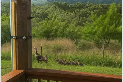 12516 Wire Road, Leander, TX 78641 - Photo 30