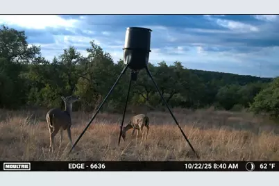 12516 Wire Road, Leander, TX 78641 - Photo 6