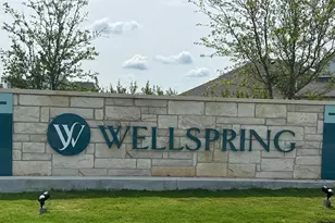 8534 Wellspring Loop, Round Rock, TX 78665 - Photo 30