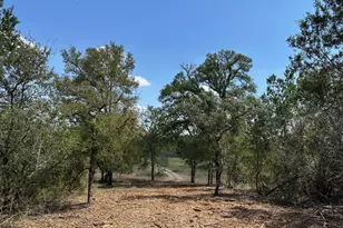 105 Winding River Rd, Kempner, TX 76539 - Photo 8