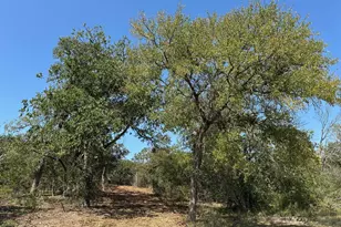 105 Winding River Rd, Kempner, TX 76539 - Photo 4