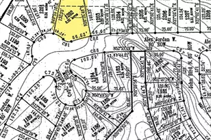 110 W Alex Jordan St, Blanco, TX 78606 - Photo 1