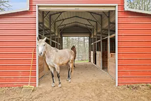 175 Fawn Ridge Rd, Cedar Creek, TX 78612 - Photo 8