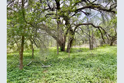 Tbd Lot Pt 19 Narrows Road, Blanco, TX 78606 - Photo 2