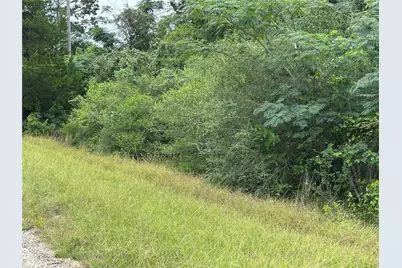 Lot 7 Green Valley Drive, Bastrop, TX 78602 - Photo 4