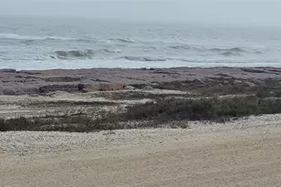 1643 Canal St, Bay City, TX 77414 - Photo 1