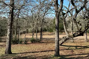1047 Private Road 3022, Elgin, TX 78621 - Photo 16