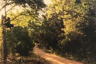 66 Bent Trai Ln, Georgetown, TX 78628 - Photo 36