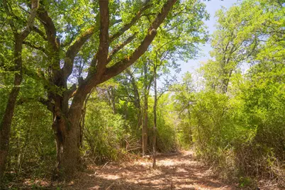 12582 Red Hill Road, Hearne, TX 77859 - Photo 2