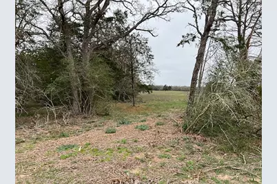 Tbd Cedar Rock Road, Rosanky, TX 78953 - Photo 12
