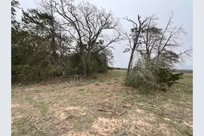 Tbd Cedar Rock Road, Rosanky, TX 78953 - Photo 14