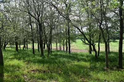 Lot 5 Valley Creek Drive, Cedar Creek, TX 78612 - Photo 10
