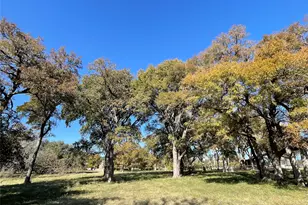 121 Dog Run, Burnet, TX 78611 - Photo 4