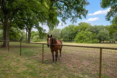 121 Dog Run, Burnet, TX 78611 - Photo 6