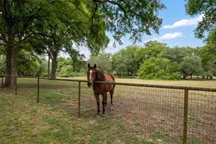 121 Dog Run, Burnet, TX 78611 - Photo 6