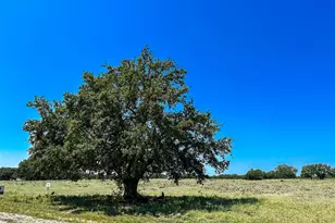 Lot 106 N Waterbuck Way, Lampasas, TX 76550 - Photo 10