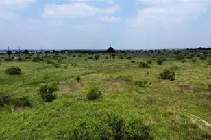Tbd Lot 17 County Road 437, Thrall, TX 76578 - Photo 1