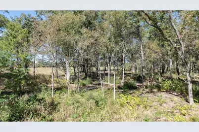 204 Little Branch Lane, Cameron, TX 76520 - Photo 18