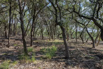 Tract 4 Mount Olive School Road, Wimberley, TX 78676 - Photo 12