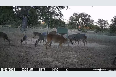 Tbd Nash Creek Road, Kingsbury, TX 78638 - Photo 6