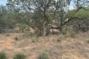 Lot 260 W Briarway Dr, Granite Shoals, TX 78654 - Photo 6