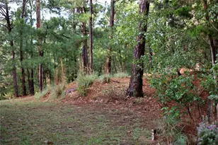 208 Akaloa Dr, Bastrop, TX 78602 - Photo 10