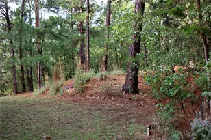 208 Akaloa Dr, Bastrop, TX 78602 - Photo 10