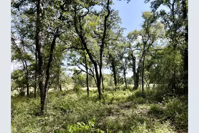 8954 County Road 353, Gause, TX 77857 - Photo 32