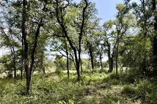 8954 Co Rd 353, Gause, TX 77857 - Photo 32