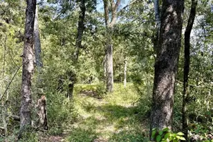 8954 Co Rd 353, Gause, TX 77857 - Photo 30