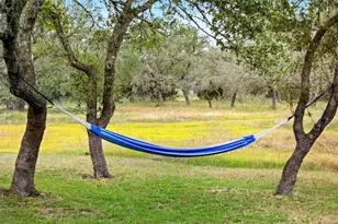 426 Preiss Ranch Rd, Blanco, TX 78606 - Photo 34