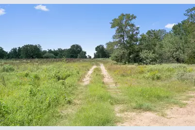 000 Josie Lane, Bastrop, TX 78602 - Photo 6