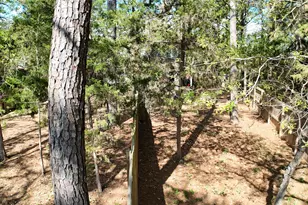 119 N Kanaio Dr, Bastrop, TX 78602 - Photo 40