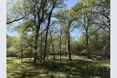 Tbd Anchor Ranch Loop, Flatonia, TX 78941 - Photo 20