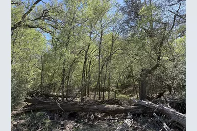 Tbd Anchor Ranch Loop, Flatonia, TX 78941 - Photo 10