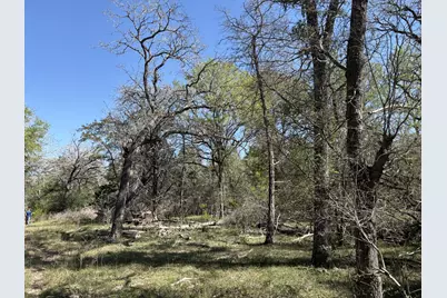 Tbd Anchor Ranch Loop, Flatonia, TX 78941 - Photo 22