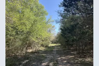Tbd Anchor Ranch Loop, Flatonia, TX 78941 - Photo 16
