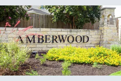 249 Ashwood N, Kyle, TX 78640 - Photo 34