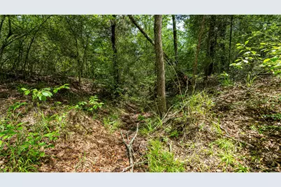 1470 22 Hills Road, Gause, TX 77857 - Photo 10